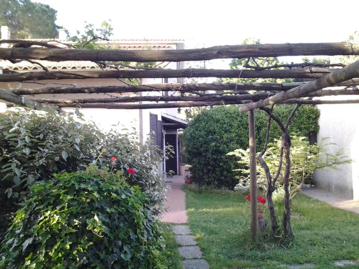 Agriturismo Piana Arborello Hotel Маляно ин Тоскана Екстериор снимка