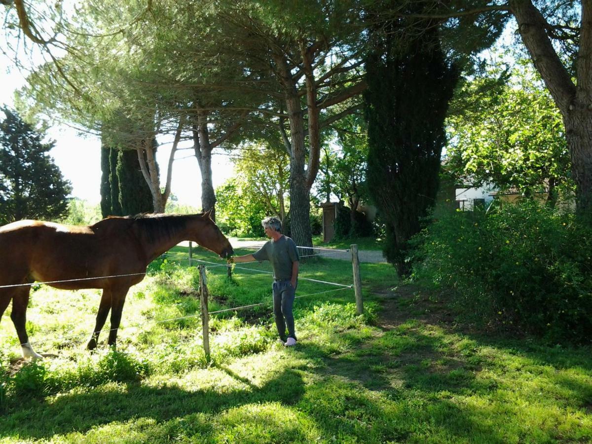 Agriturismo Piana Arborello Hotel Маляно ин Тоскана Екстериор снимка