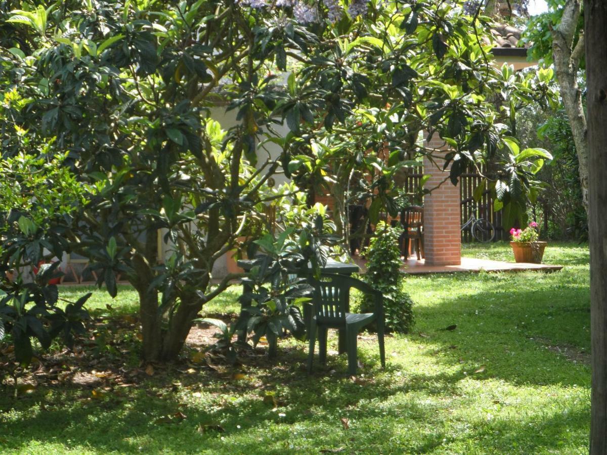 Agriturismo Piana Arborello Hotel Маляно ин Тоскана Екстериор снимка