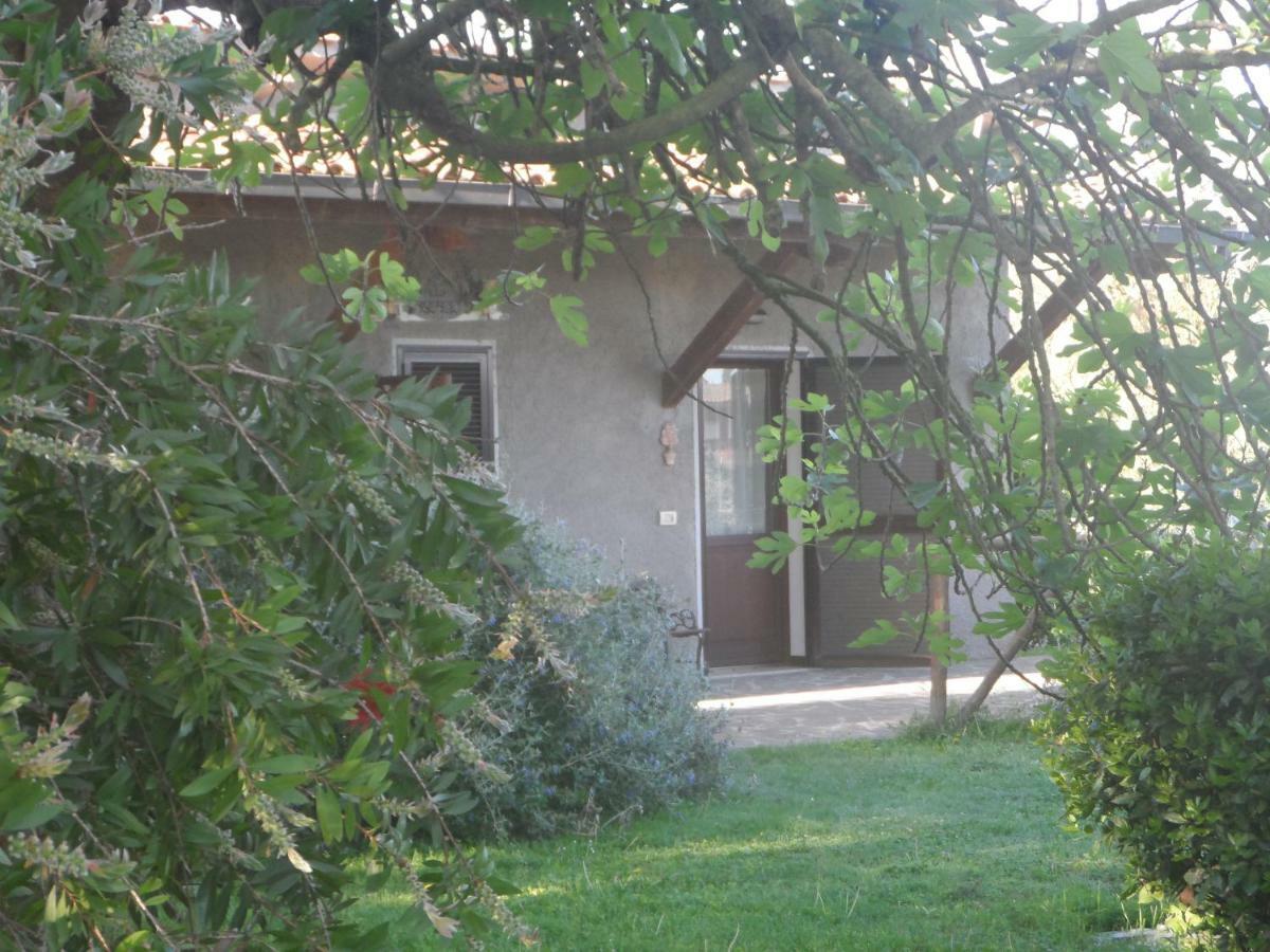 Agriturismo Piana Arborello Hotel Маляно ин Тоскана Екстериор снимка