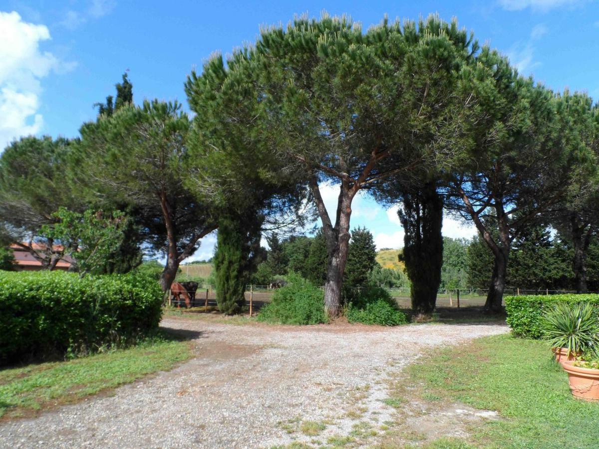 Agriturismo Piana Arborello Hotel Маляно ин Тоскана Екстериор снимка