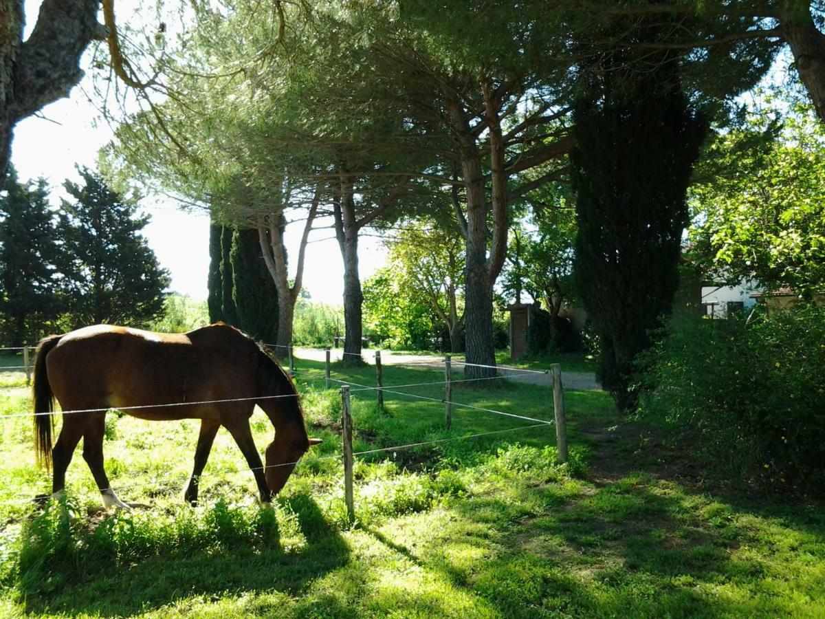 Agriturismo Piana Arborello Hotel Маляно ин Тоскана Екстериор снимка