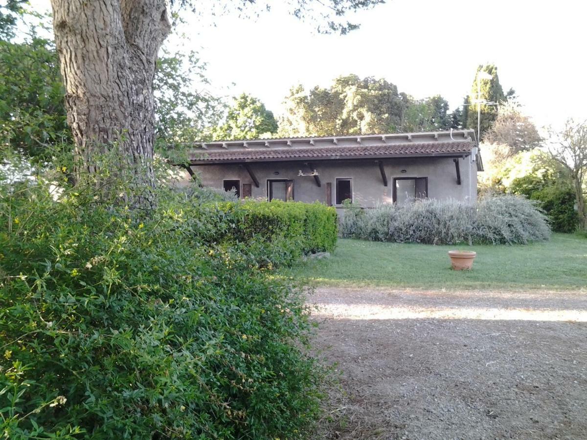 Agriturismo Piana Arborello Hotel Маляно ин Тоскана Екстериор снимка