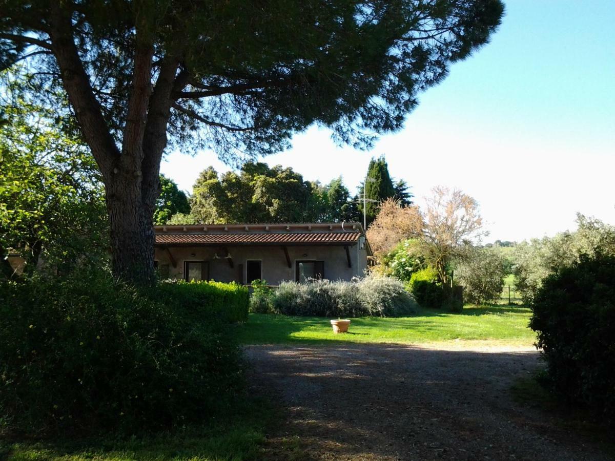 Agriturismo Piana Arborello Hotel Маляно ин Тоскана Екстериор снимка