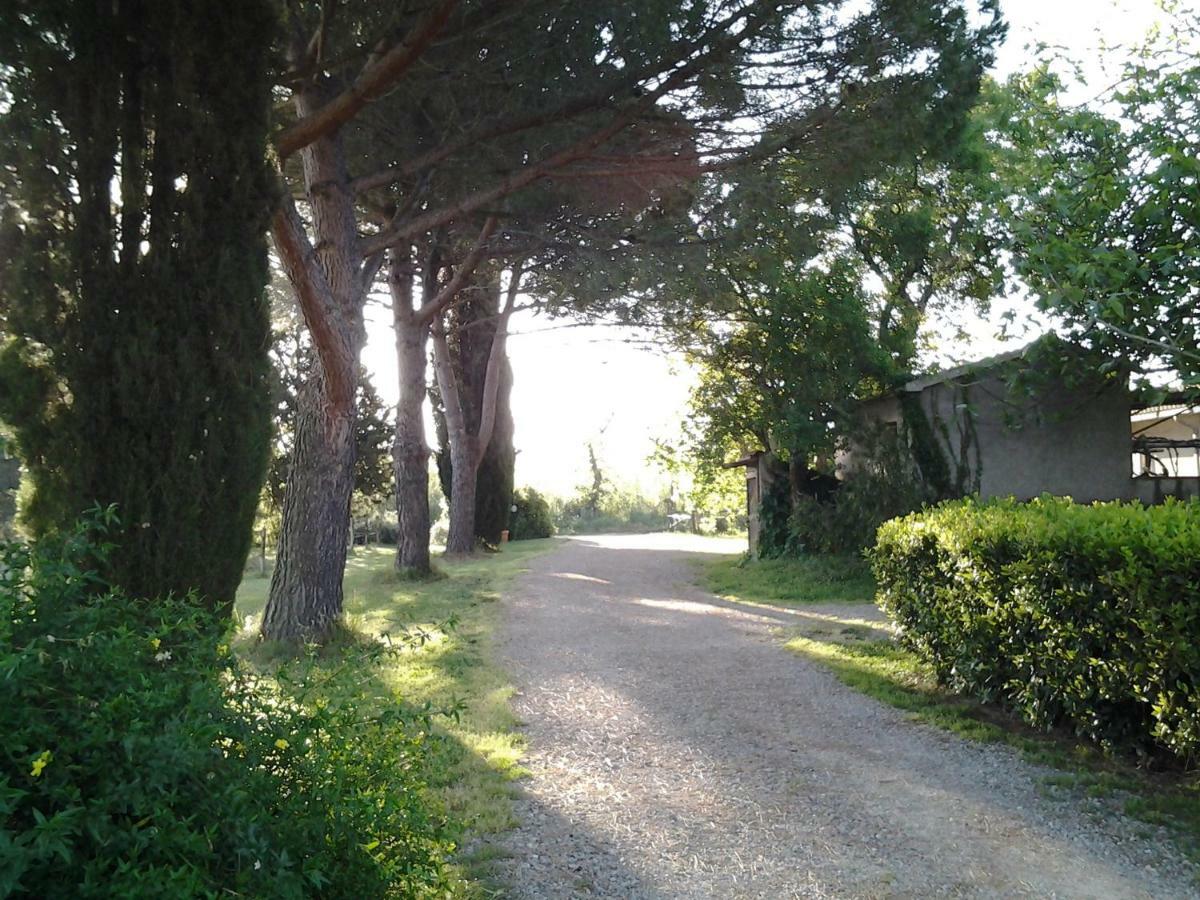 Agriturismo Piana Arborello Hotel Маляно ин Тоскана Екстериор снимка