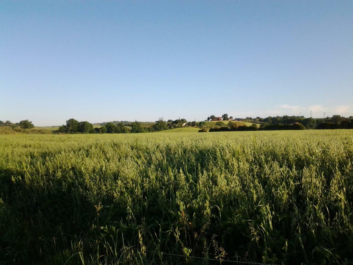 Agriturismo Piana Arborello Hotel Маляно ин Тоскана Екстериор снимка