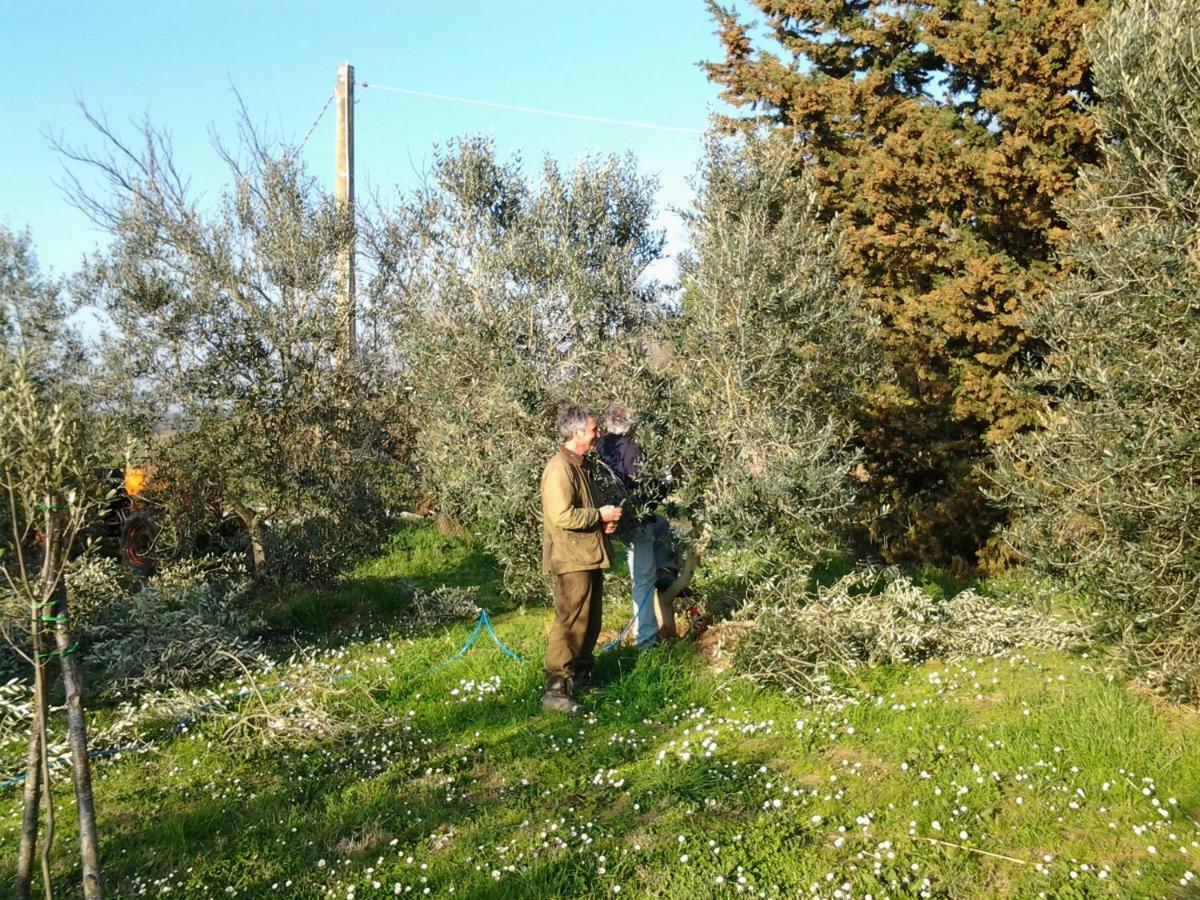 Agriturismo Piana Arborello Hotel Маляно ин Тоскана Екстериор снимка